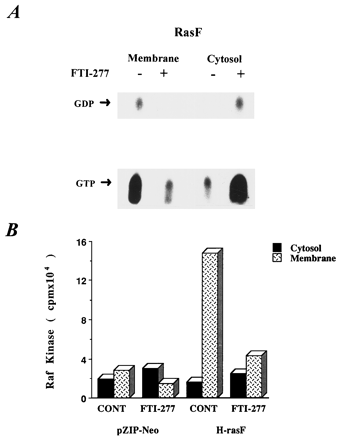 FTI 277 HCl