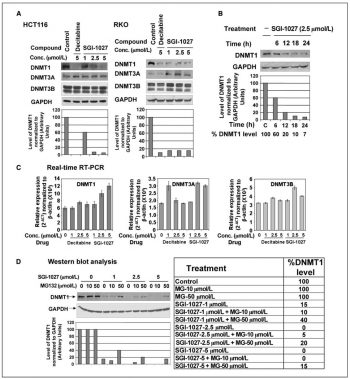 SGI-1027