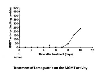 Lomeguatrib