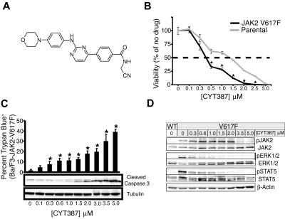 Momelotinib (CYT387)