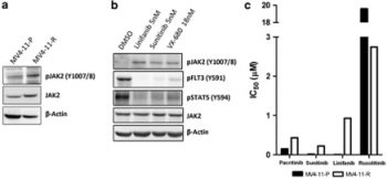 Pacritinib (SB1518)