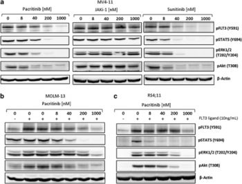 Pacritinib (SB1518)