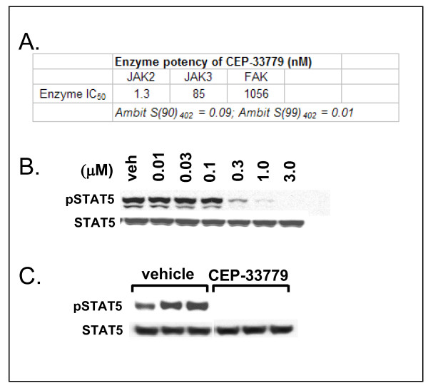 CEP-33779