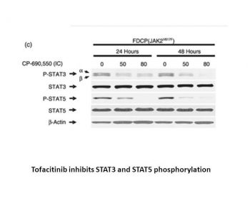 Tofacitinib (CP-690550,Tasocitinib)