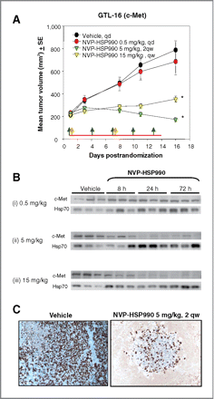 HSP990 (NVP-HSP990)