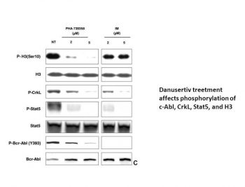 Danusertib (PHA-739358)