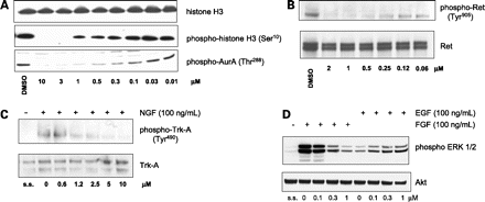 Danusertib (PHA-739358)