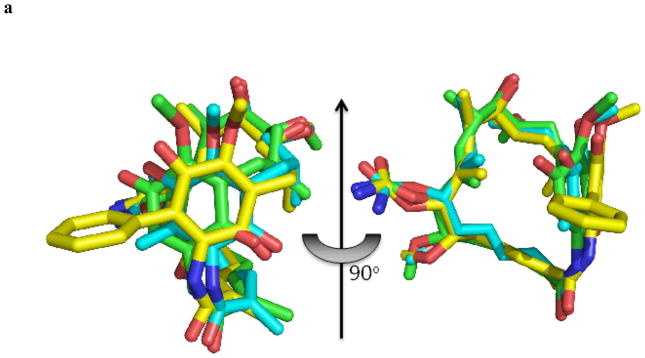 Geldanamycin