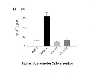 Tipifarnib