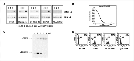 Selumetinib (AZD6244)