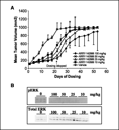 Selumetinib (AZD6244)