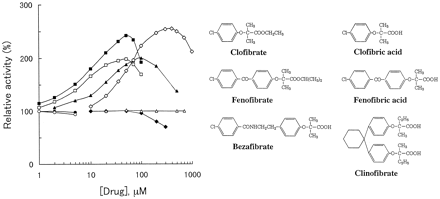 Clinofibrate