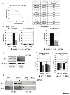 GSK1324726A (I-BET726