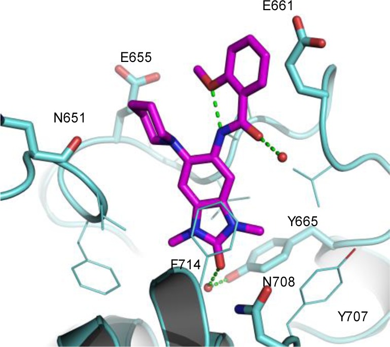 GSK6853