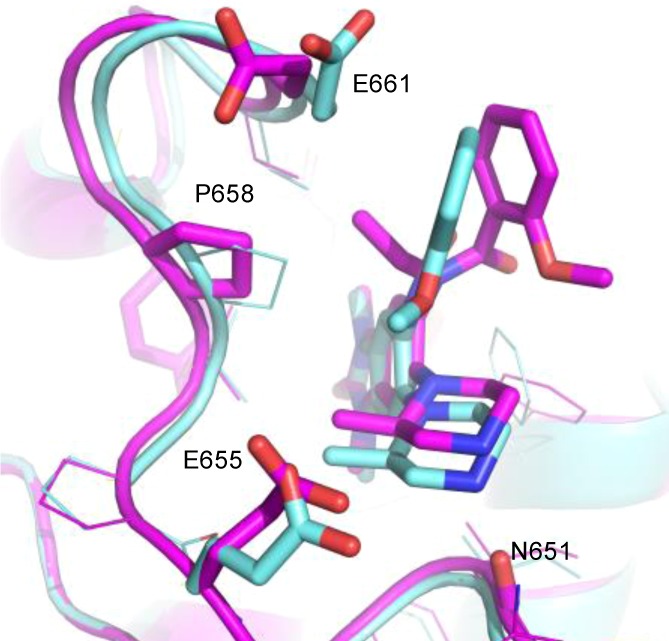 GSK6853