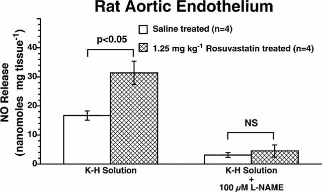 Rosuvastatin Calcium