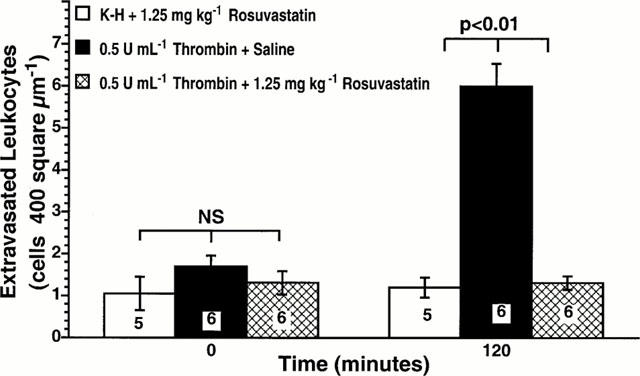 Rosuvastatin