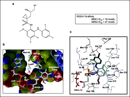 Refametinib (Bay 86-9766)