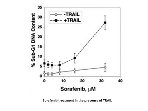 Sorafenib Tosylate