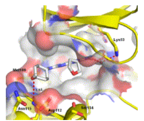 Tanzisertib HCl(CC-930)