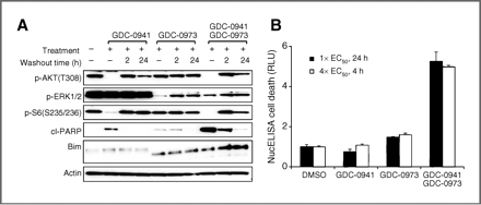 Cobimetinib (GDC-0973, RG7420)