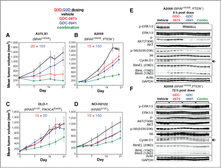 Cobimetinib (GDC-0973, RG7420)