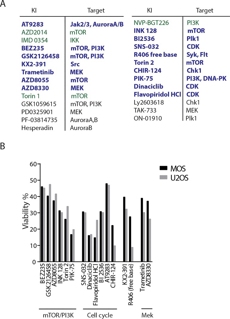 AZD8330