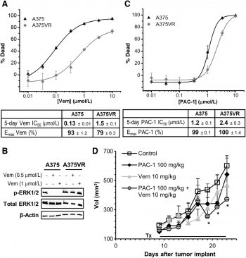 Vemurafenib (PLX4032, RG7204)