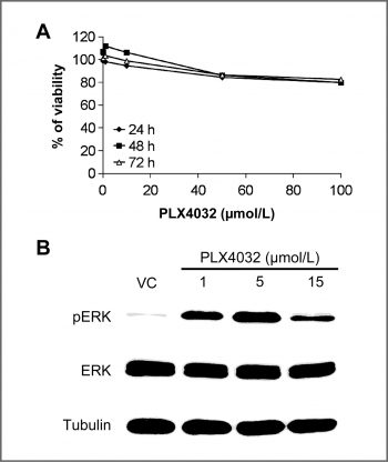 Vemurafenib (PLX4032, RG7204)