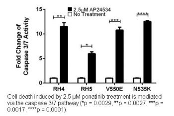 Ponatinib (AP24534)