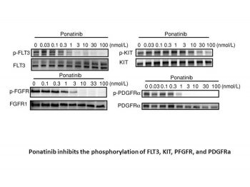 Ponatinib (AP24534)