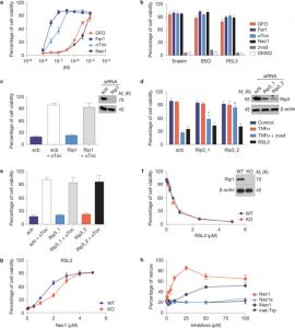 Liproxstatin-1