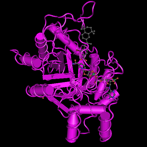 TTNPB (Arotinoid Acid)