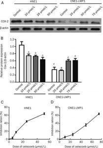 Celecoxib