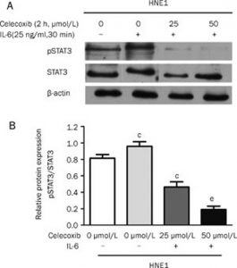 Celecoxib