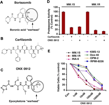 OPROZOMIB (ONX 0912)