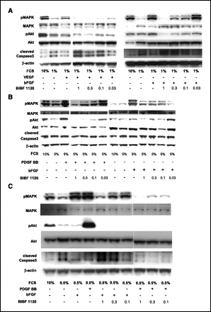 Nintedanib (BIBF 1120)