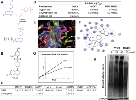 VR23 RELATED PROTEASOME PRODUCTS