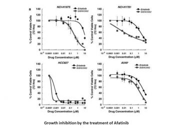 Afatinib (BIBW2992)