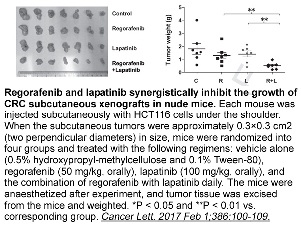 Lapatinib