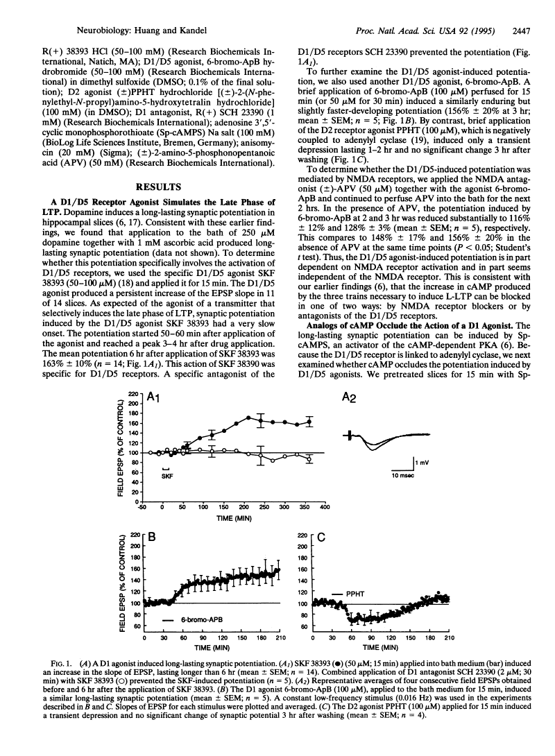 R(+)-SKF-38393A