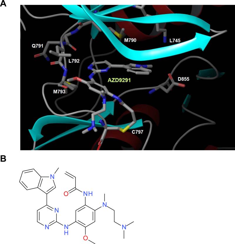 Osimertinib (AZD9291)