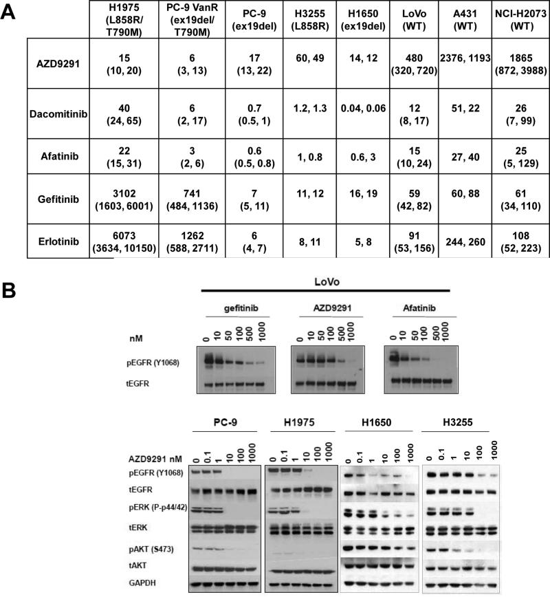 Osimertinib (AZD9291)