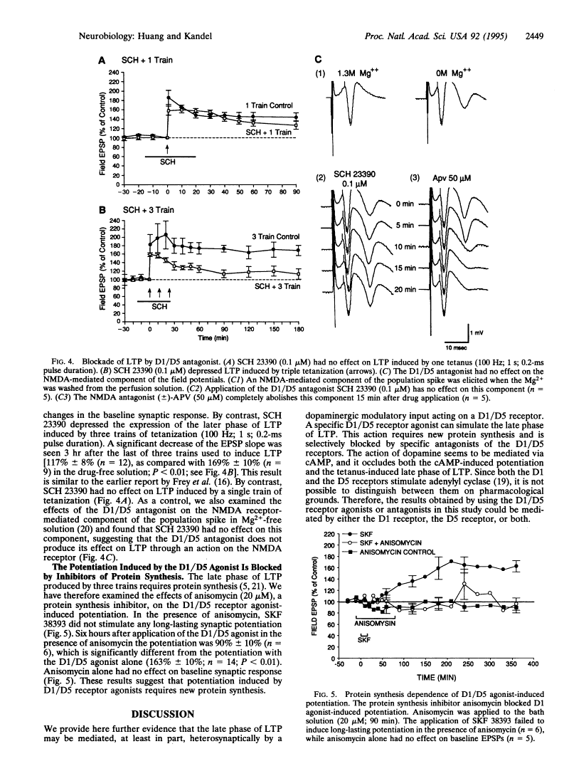 SKF38393 HCl