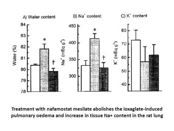 Nafamostat Mesylate