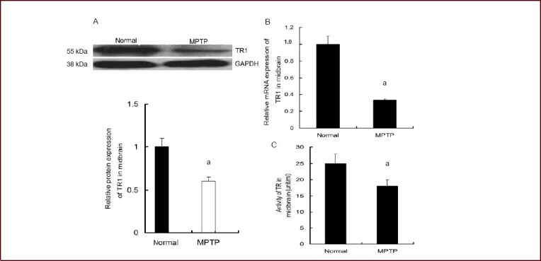 MPTP hydrochloride