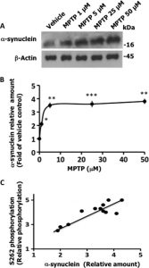 MPTP hydrochloride