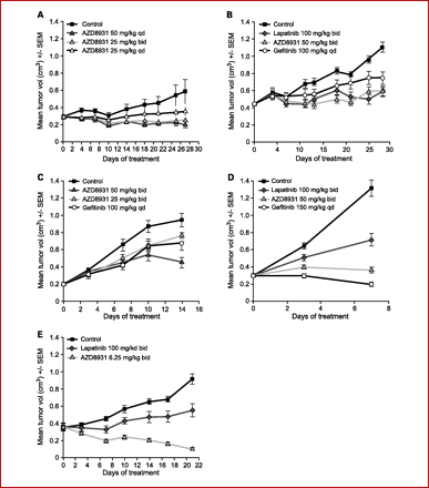 AZD8931 (Sapitinib)