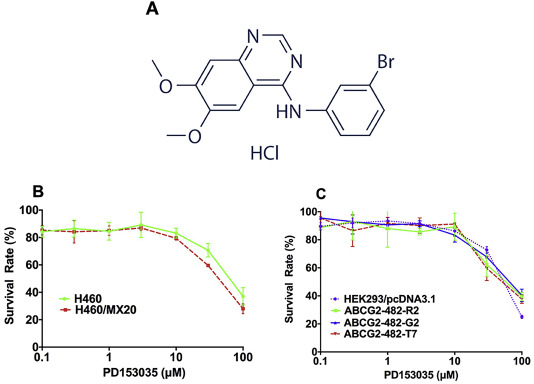 PD153035 HCl