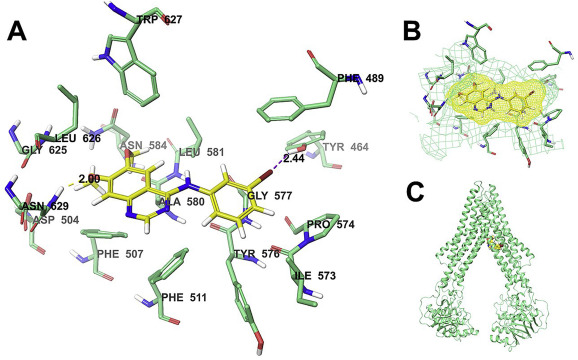 PD153035 HCl